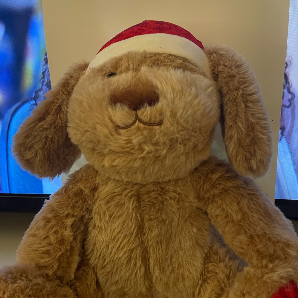❤️2/$25 Plush Dog Toy with Santa Hat - Brown